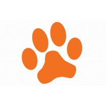 Paw Shaped Business Cards
