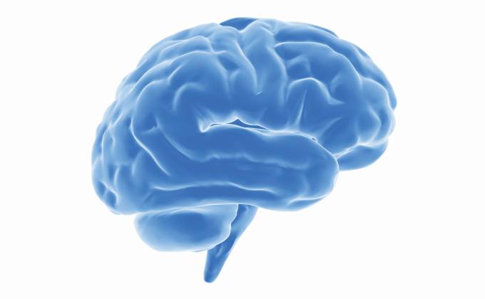 Brain shaped business cards