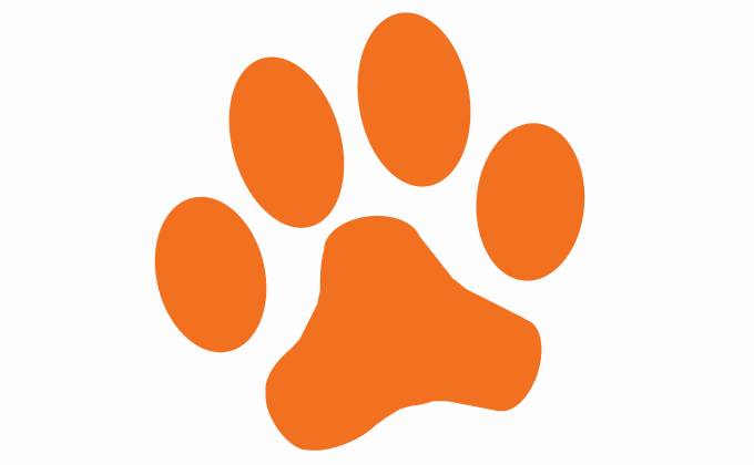 Paw shaped business cards